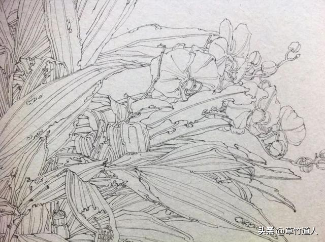 绘画艺术形象及其审美意义,中国绘画的审美特点4字