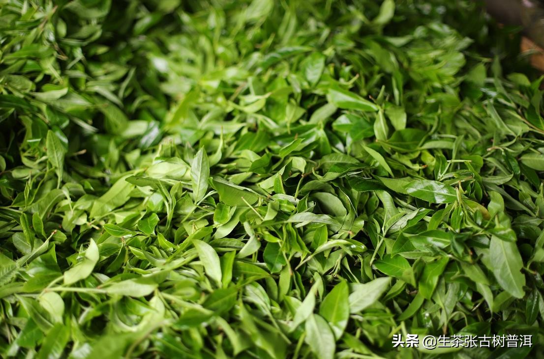 普洱茶八奇图片,普洱茶8代表什么意思