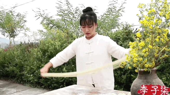 李子柒抖音收入,李子柒外网收益