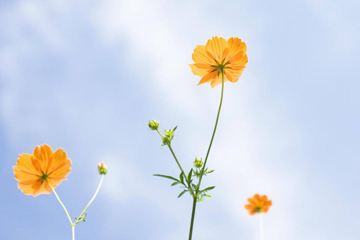 家庭不美满的原因,家庭不旺的三种表现