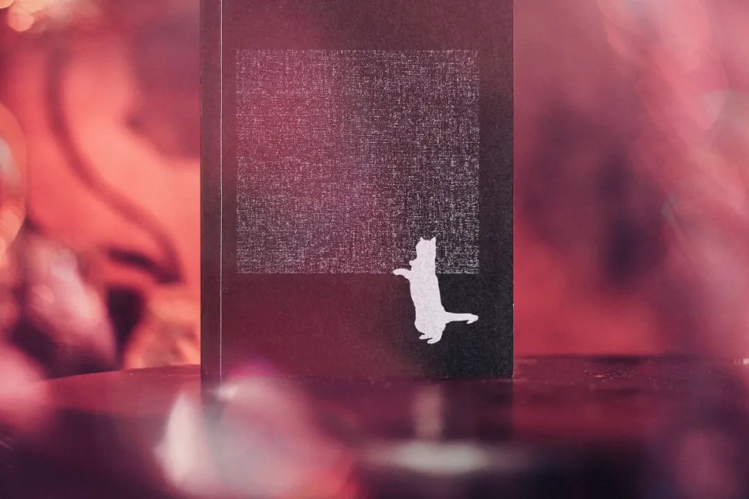 豆瓣8.1分直击人性,豆瓣9.1分全程让人窒息