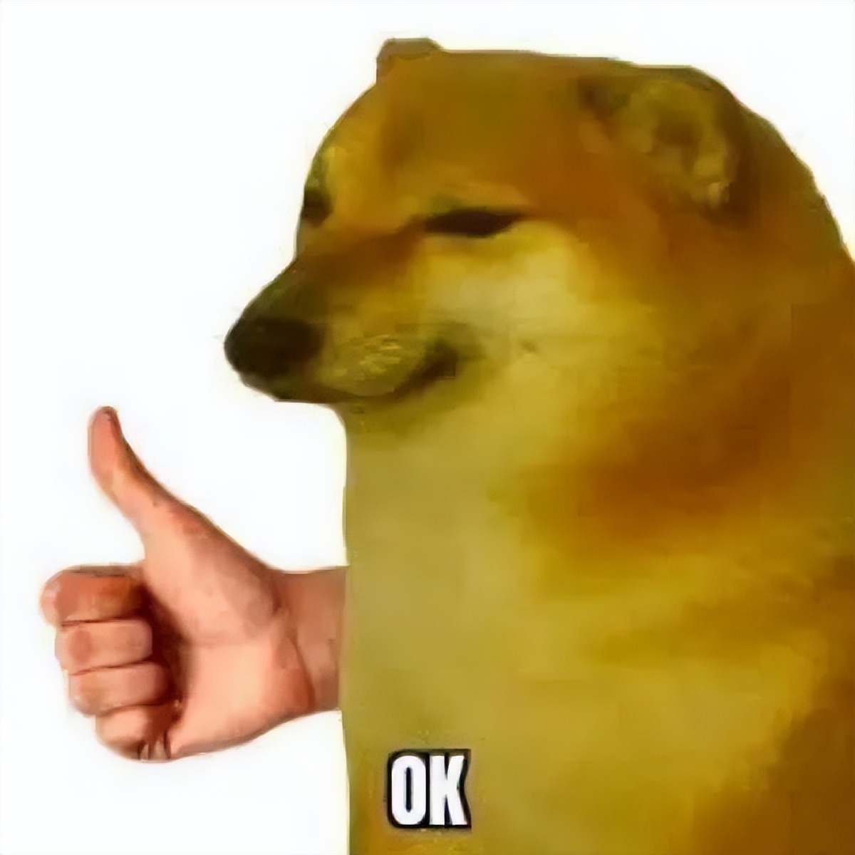 打工人效率翻倍四个神器,打工人效率翻倍的神器