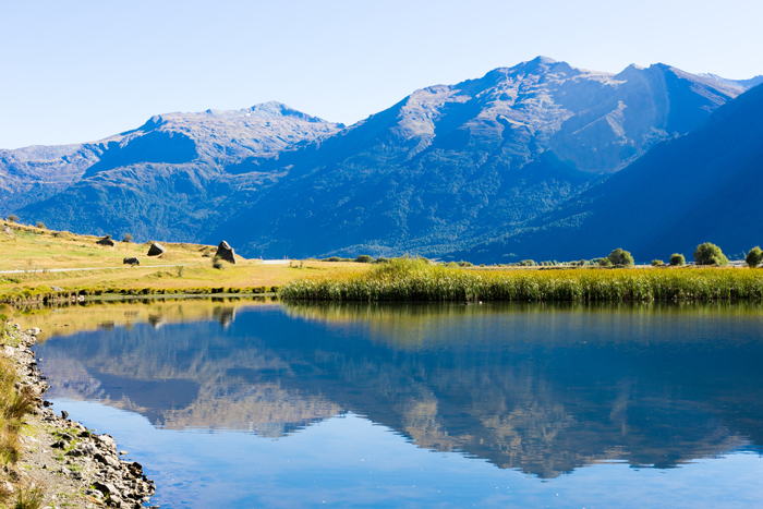 新西兰现在到底挣钱吗,新西兰平民收入怎么样