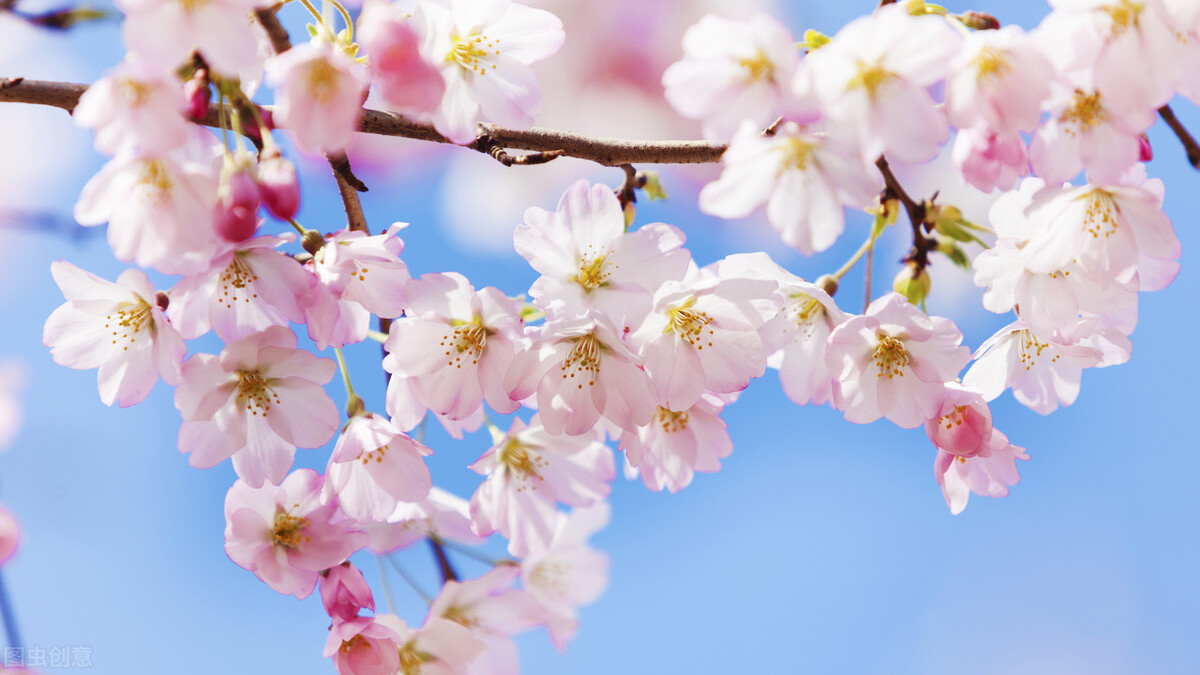 保持好身材的100个小技巧,保持好身材的饮食习惯