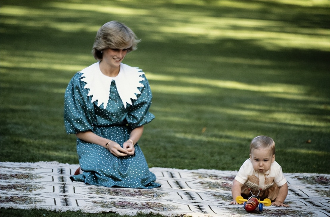 戴安娜穿紫色蕾丝裙,戴安娜经典穿搭礼服