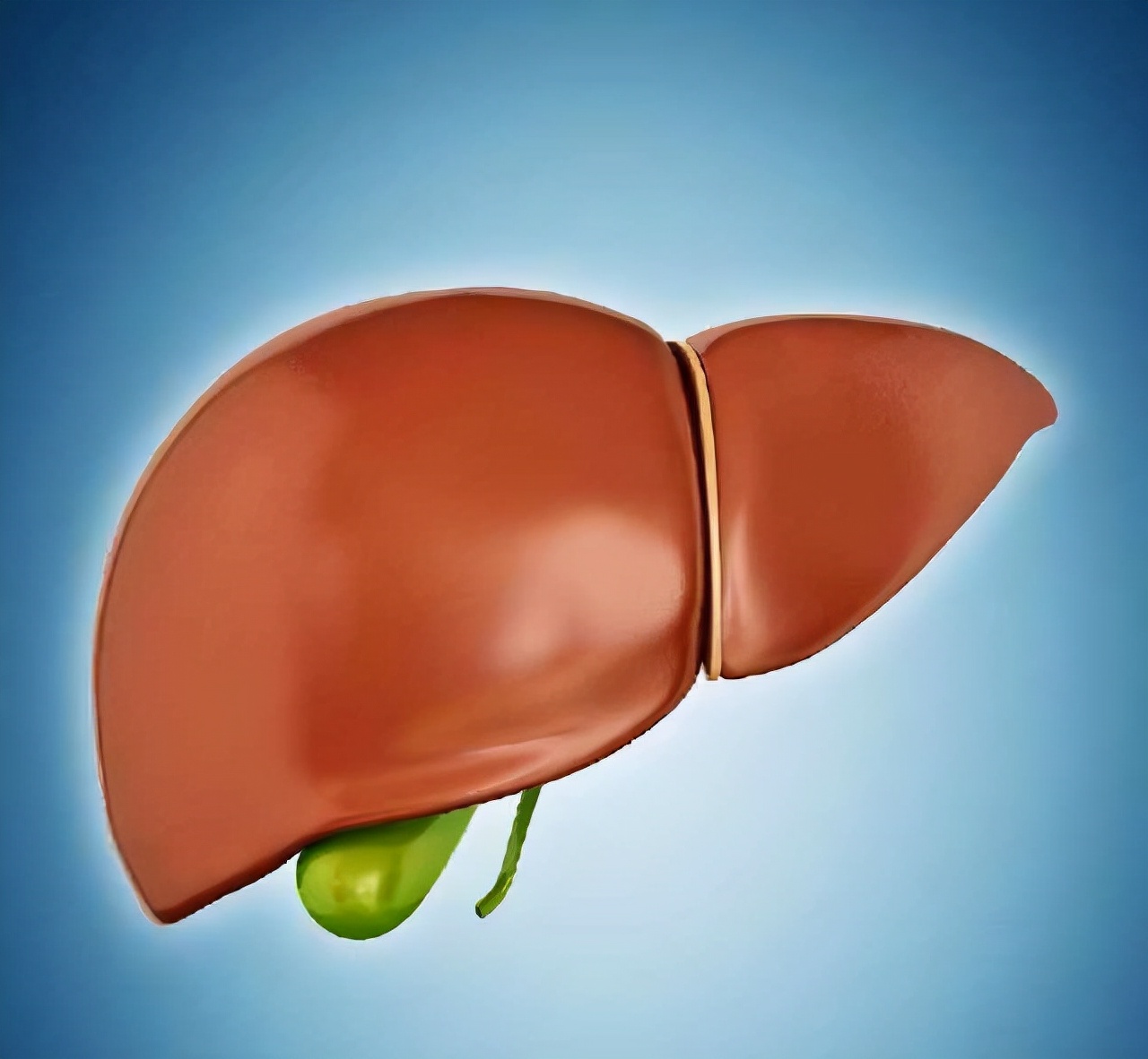 使用绞肉机会损伤肝脏系谣言,医生提醒停止使用绞肉机