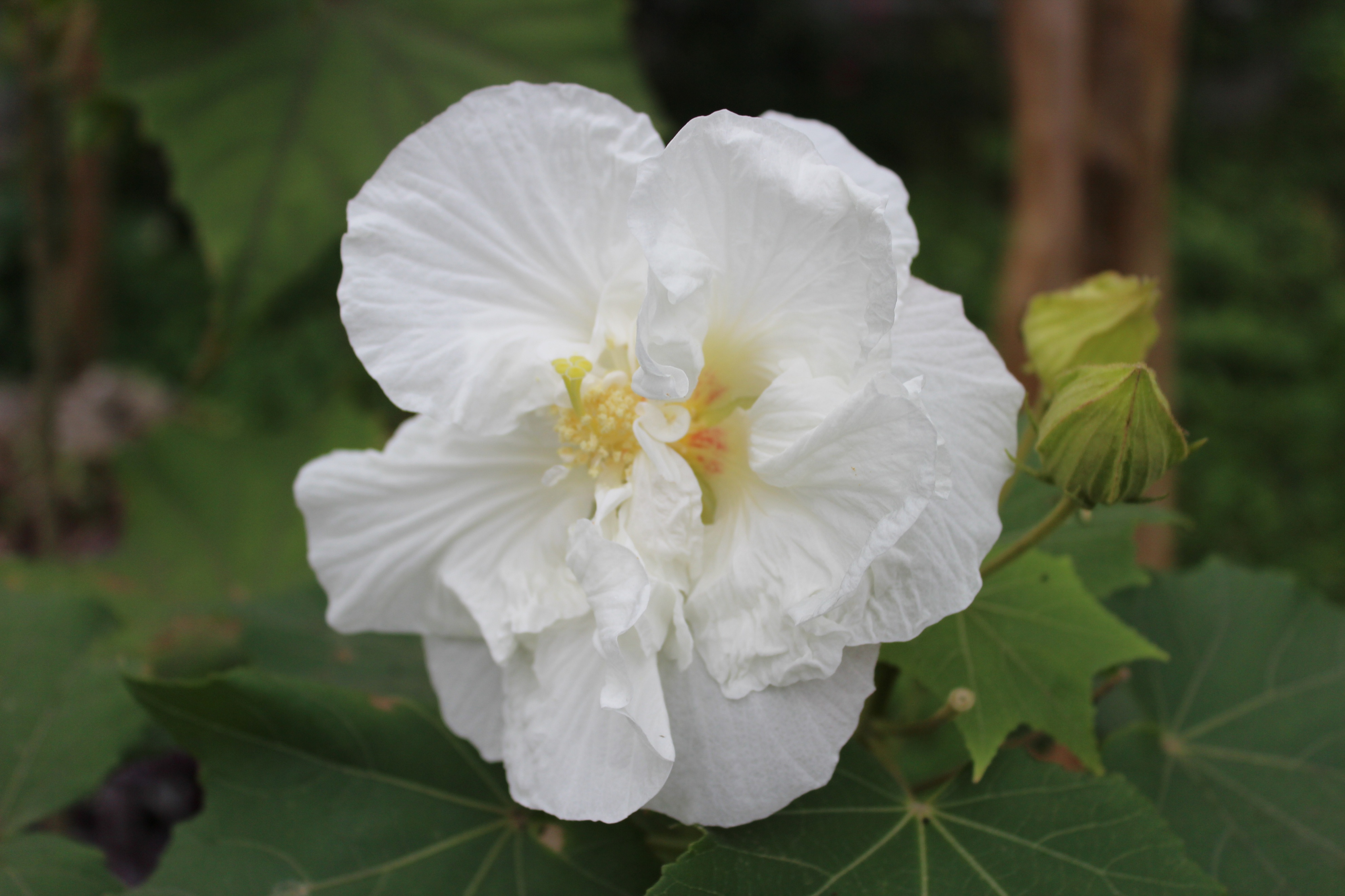 台湾宝岛购物攻略,台湾自由行购物必买清单