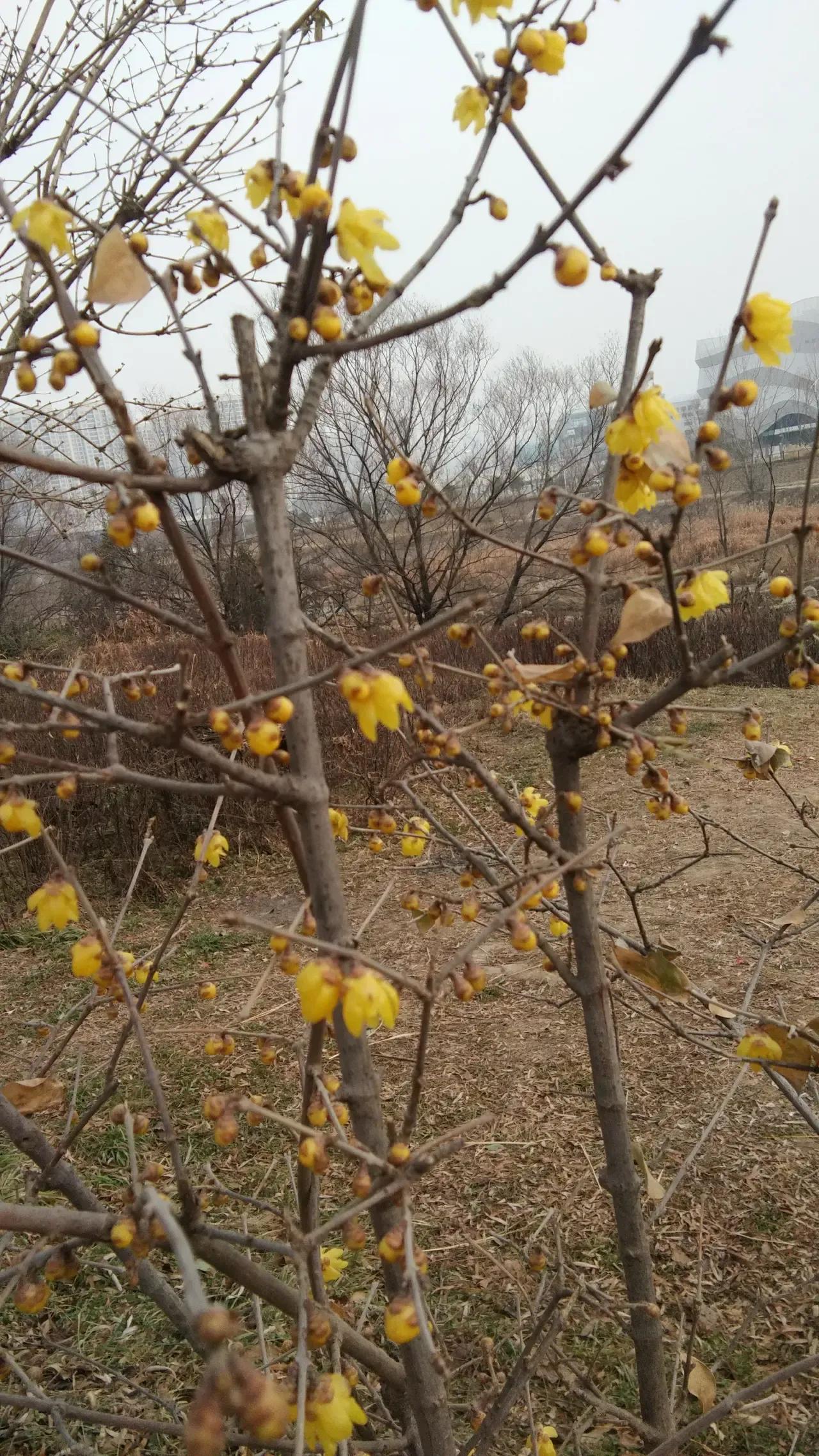 《牛虻》，像牛虻一样，勇敢做自己