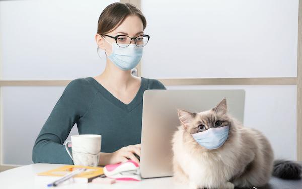 鏃ュ啗鍏借,渚靛崕鏃ュ啗鍏借