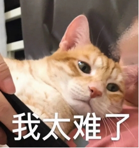 妇产科护理虚拟仿真实验教学,妇产科虚拟仿真实验中心介绍