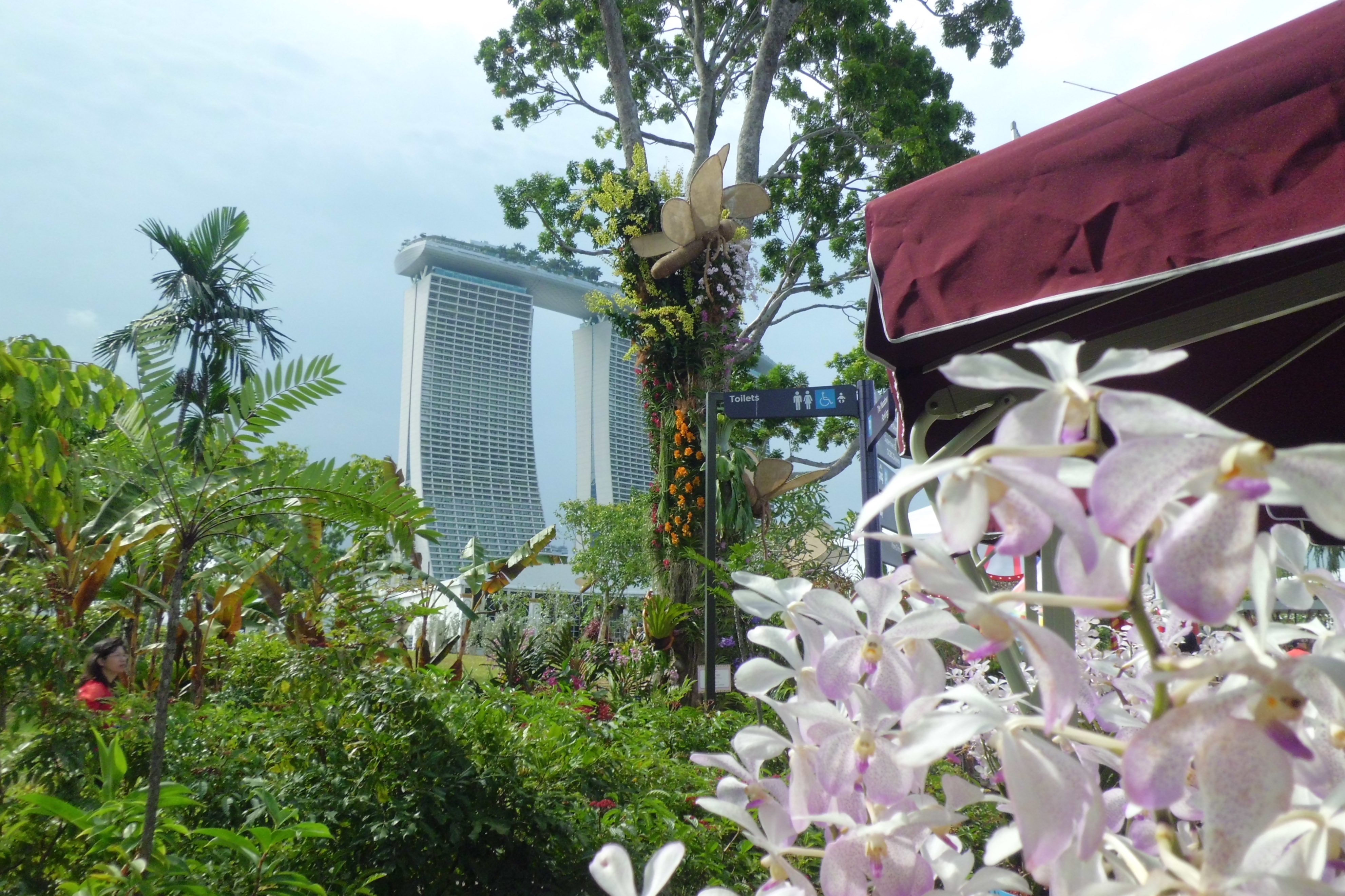 新加坡滨海湾金沙花园景观房,新加坡金沙空中花园高清图