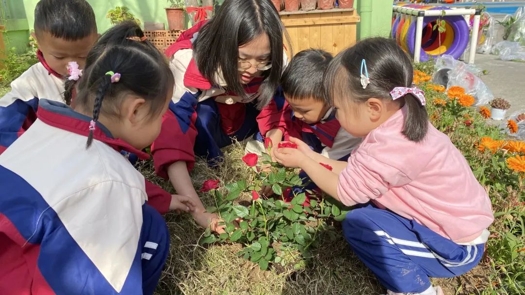 洪雅县第四幼儿园叫什么名字,洪雅第四幼儿园在哪里