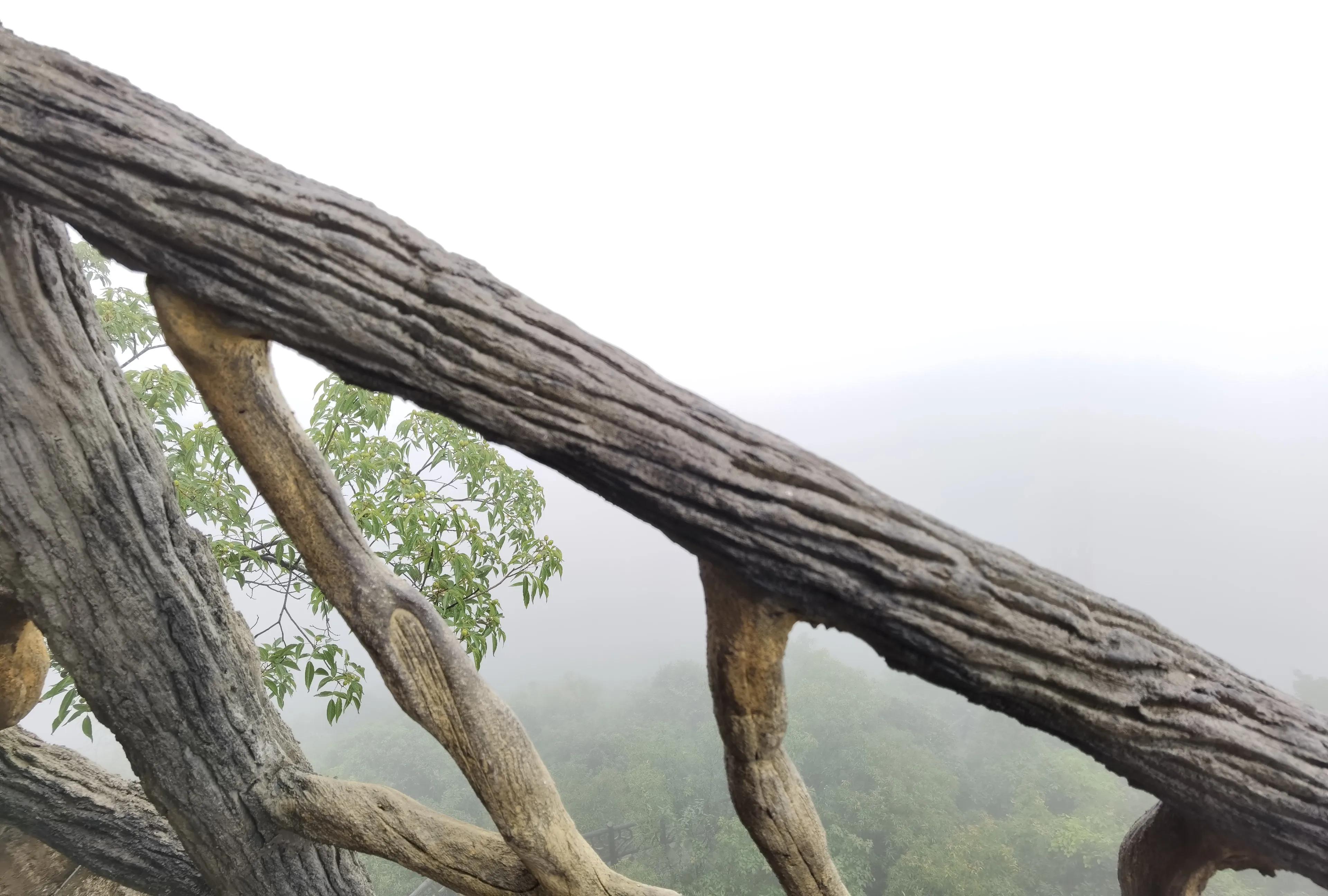 桂林阳朔如意峰一镜到底,阳朔如意峰全景