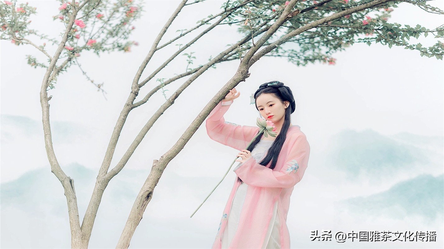 阡陌红尘岁月荏苒,阡陌红尘经典语录