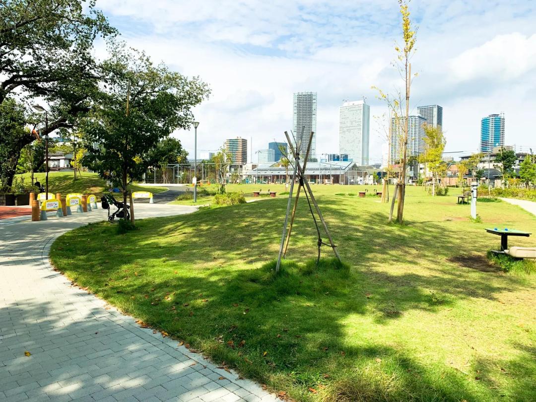 日本城市为什么那么干净,日本东京公园现状