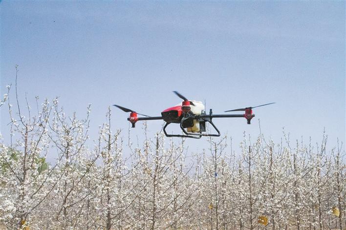 全国各地地理性标志农产品,中国十大地理标志性农产品