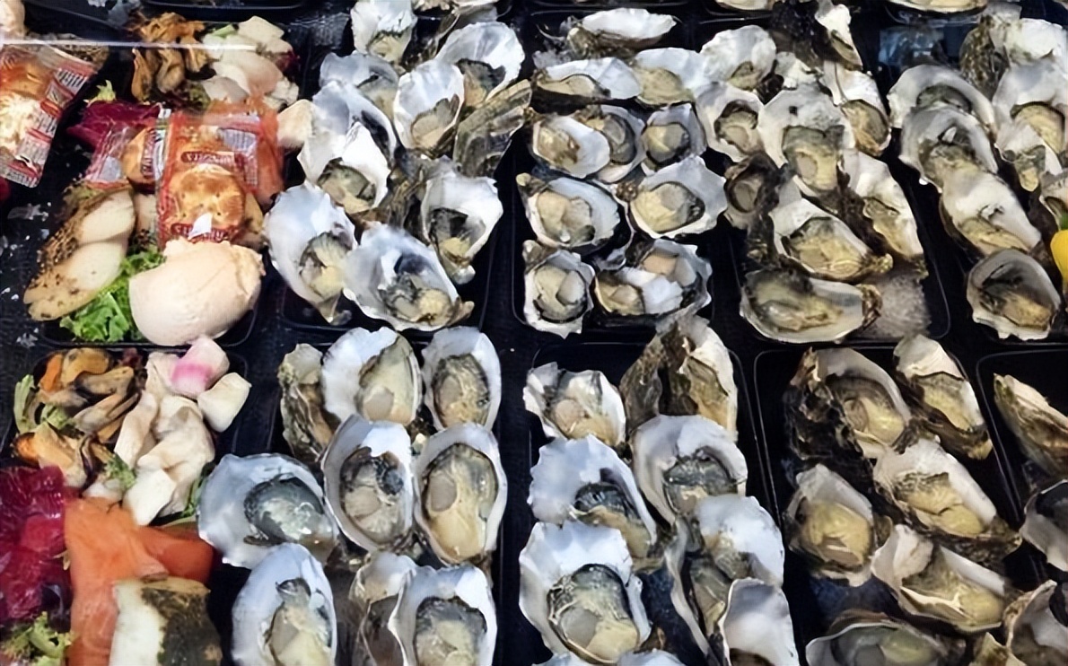 澳洲富人区和贫民区有什么区别,澳大利亚为什么成为富人的天堂