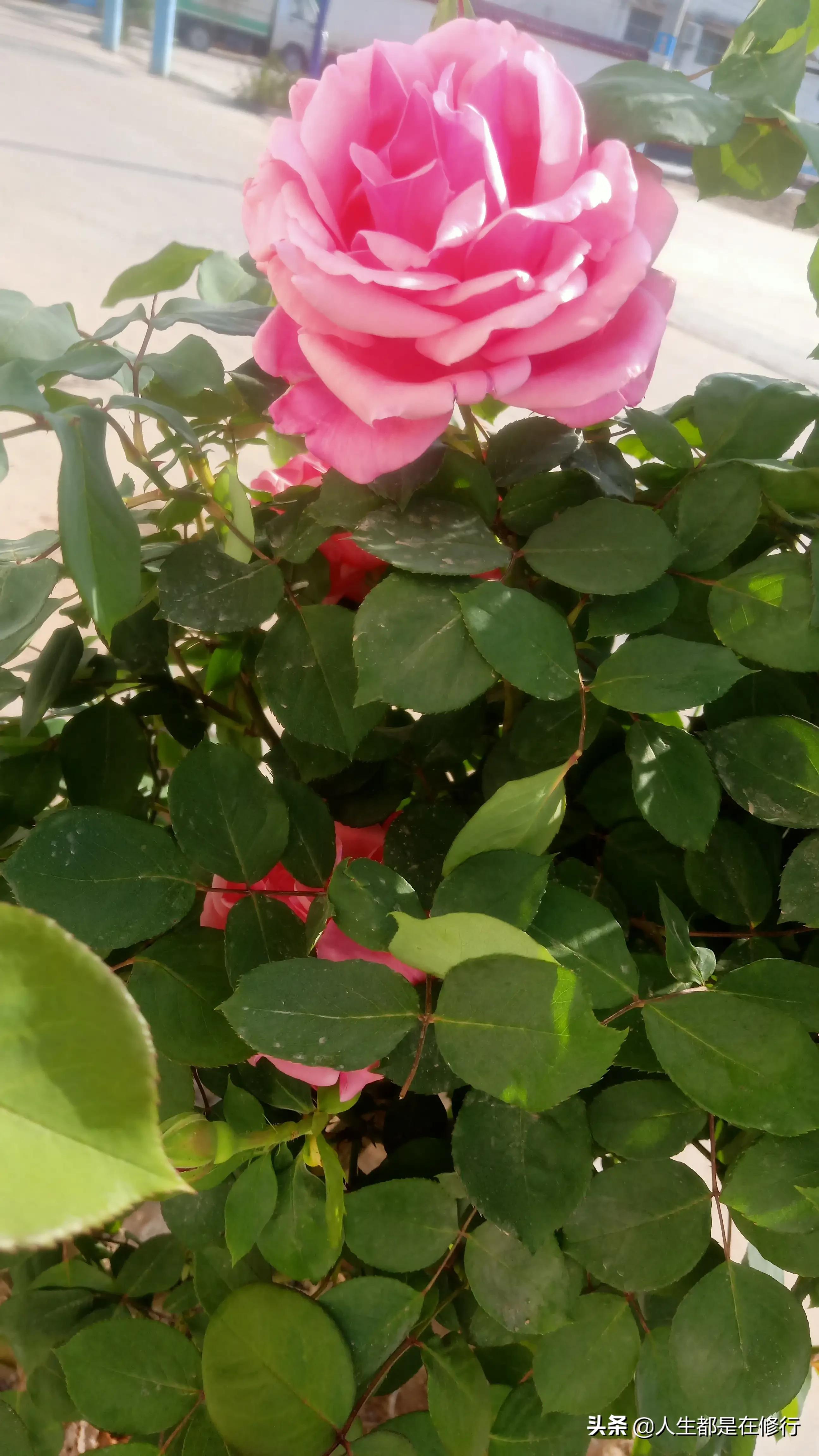 教大家一种拒绝的方法,学会怎样拒绝别人的六个技巧