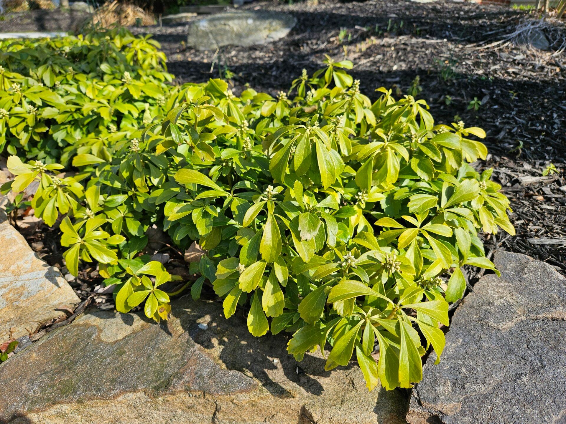 三星galaxys23深度评测王者,三星galaxys23全系评测