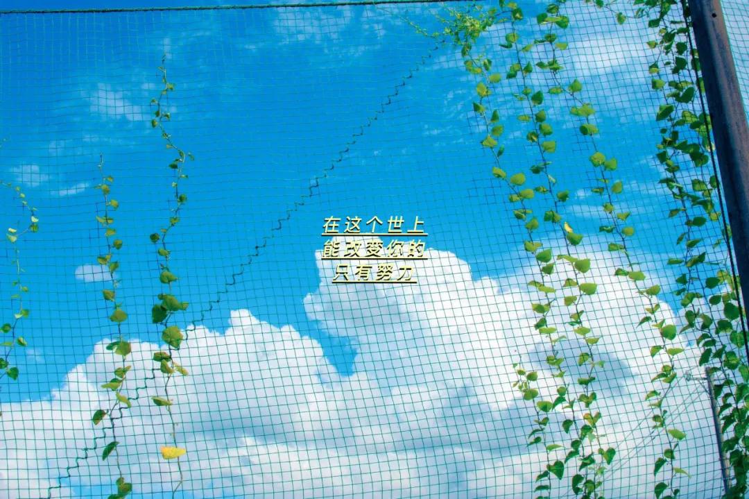 这封信，写给我们的2022---书影单推荐来啦