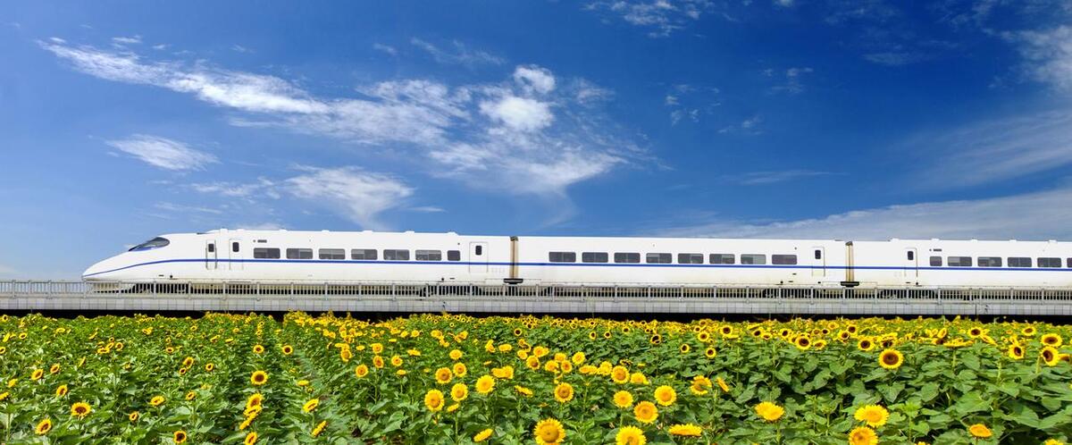 仪陇高铁通哪些地方,南充市仪陇县通高铁了吗