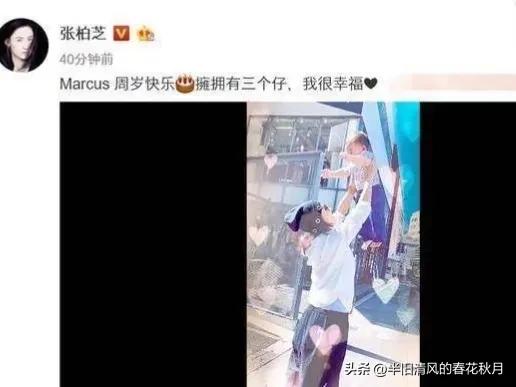 上海张柏芝的视频,香港影星张柏芝