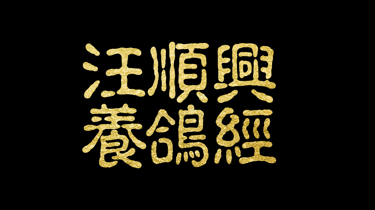 汪顺兴信鸽有大体型吗,汪顺兴的鉴鸽秘诀