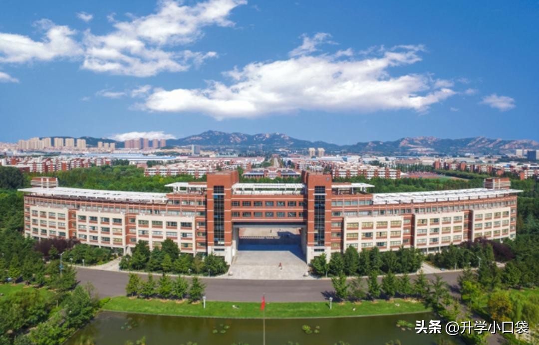 山东电网2024校招报名人数,国家电网山东电力各高校录取人数