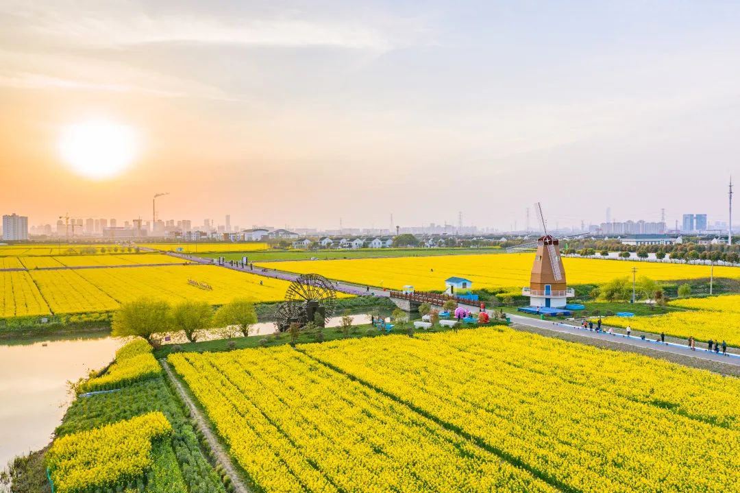 苏州周边的农村,苏州农村破房子