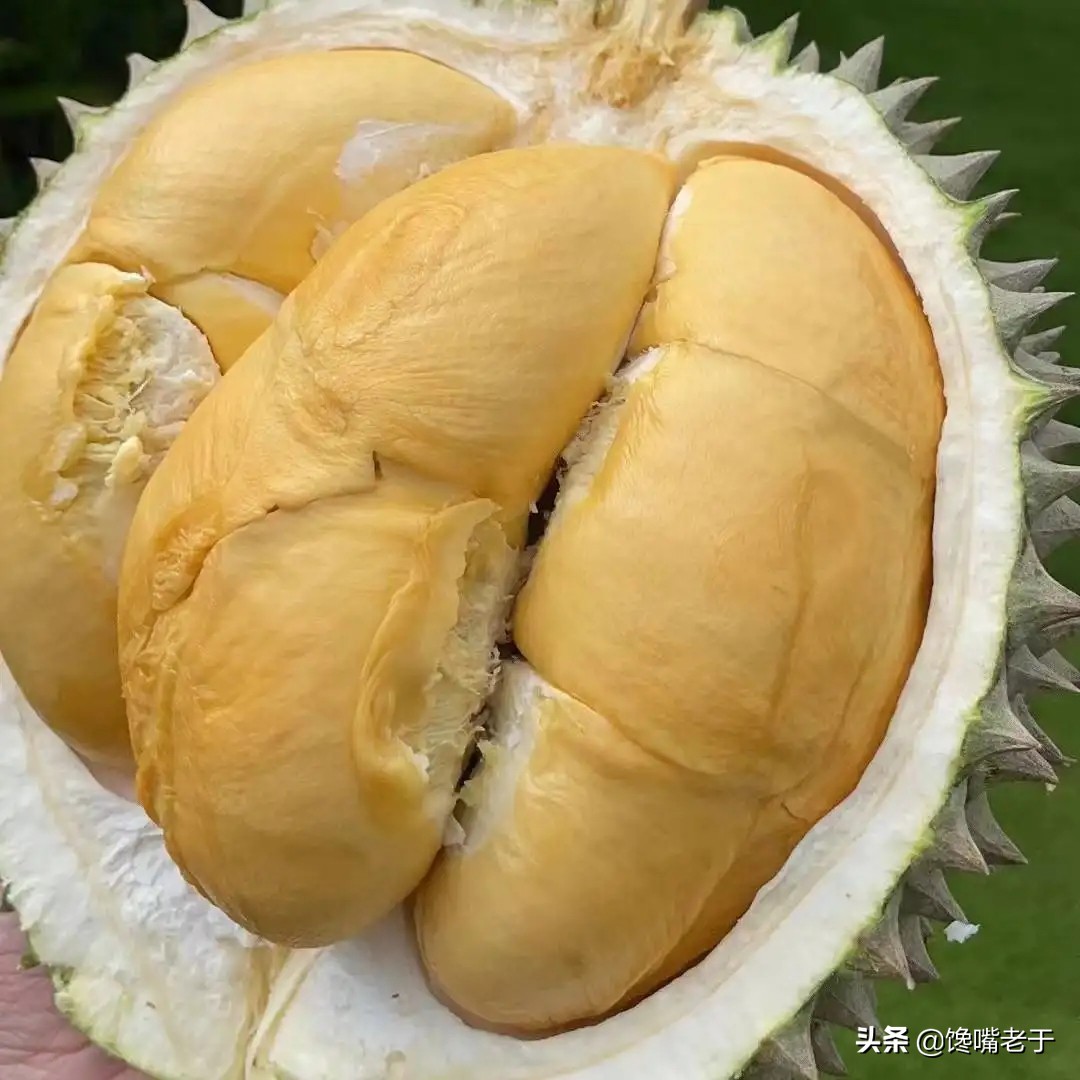 卖榴莲顺口溜大全,榴莲挑选顺口溜