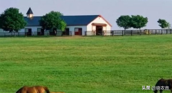 注册家庭农业合作社的好处,注册家庭农场的好处
