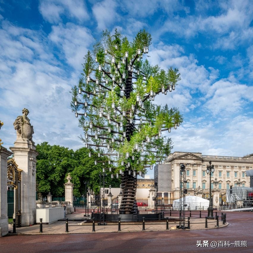 植物元素设计的椅子,植物元素的椅子设计