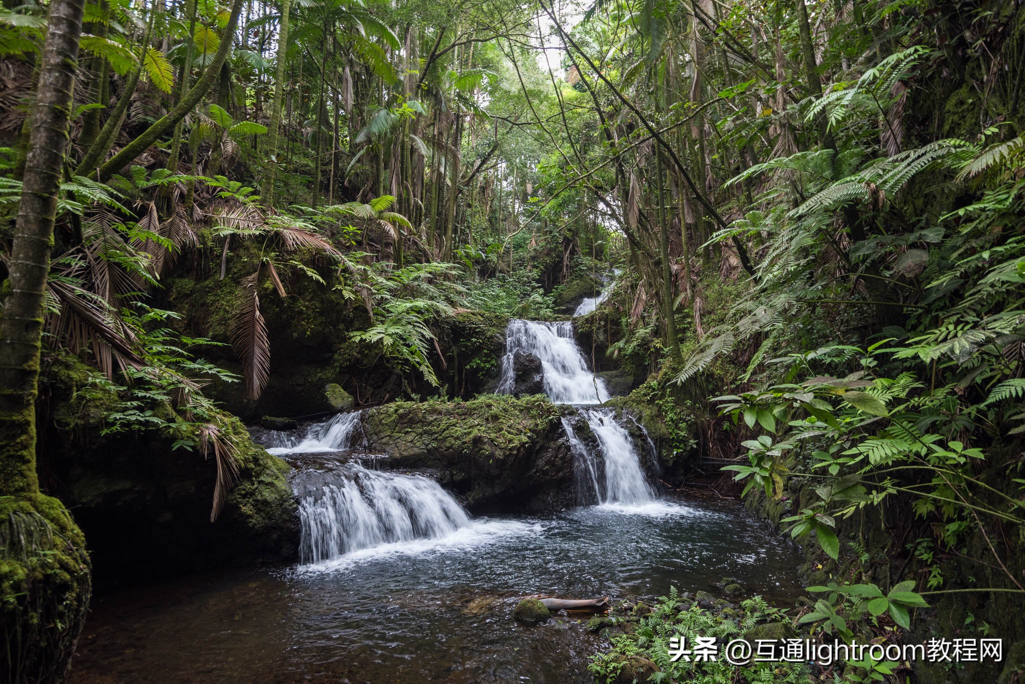 怎样去掉摄影中的紫边,拍摄人像紫边怎么回事
