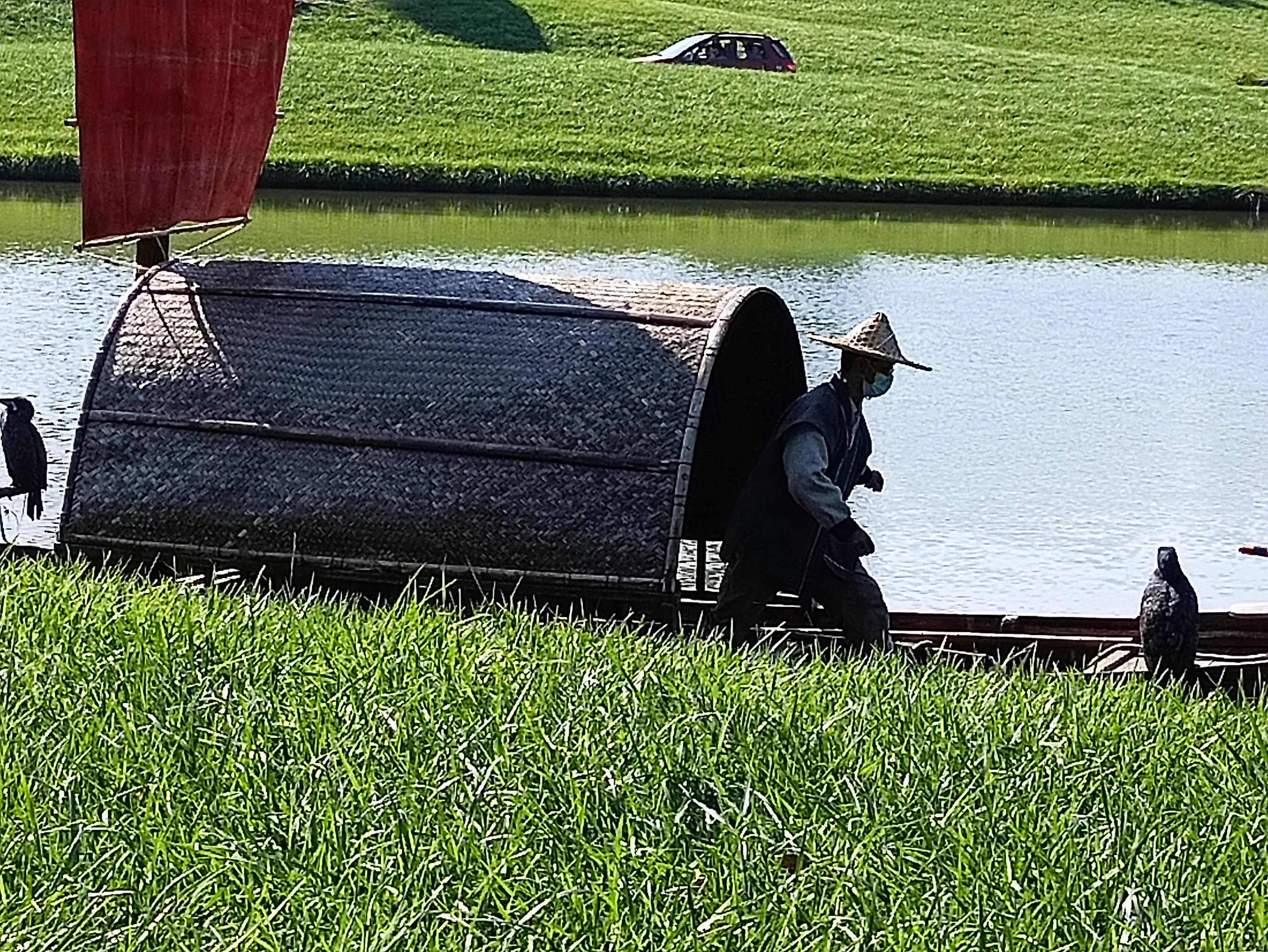 北京动物园和北京野生动物园区别,北京野生动物园狗妈妈和老虎狮子