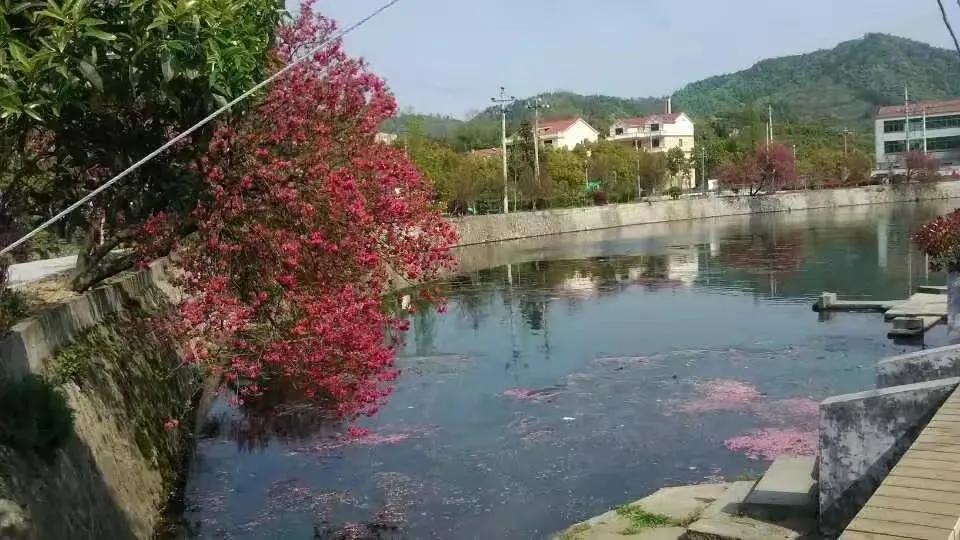 记忆中的农村老家,记忆中的老家情怀