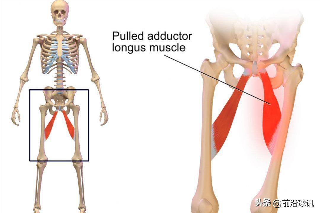 太阳队布克最新伤情,太阳队布克什么时候能复出