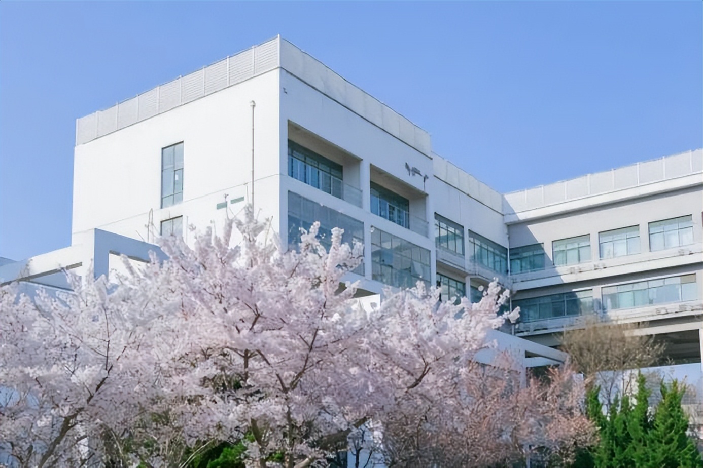 中药学专业未来会成为高薪专业吗,男生最吃香的十大高薪专业排行榜