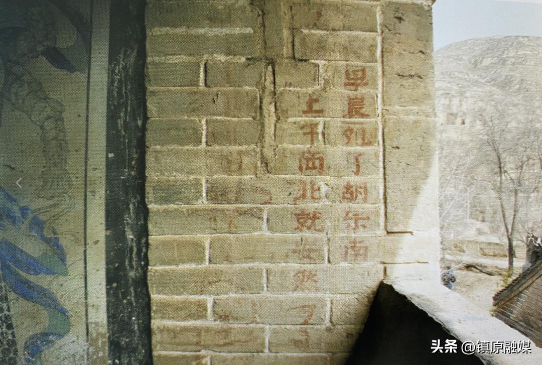 非常眼丨西野纵横战悦乐