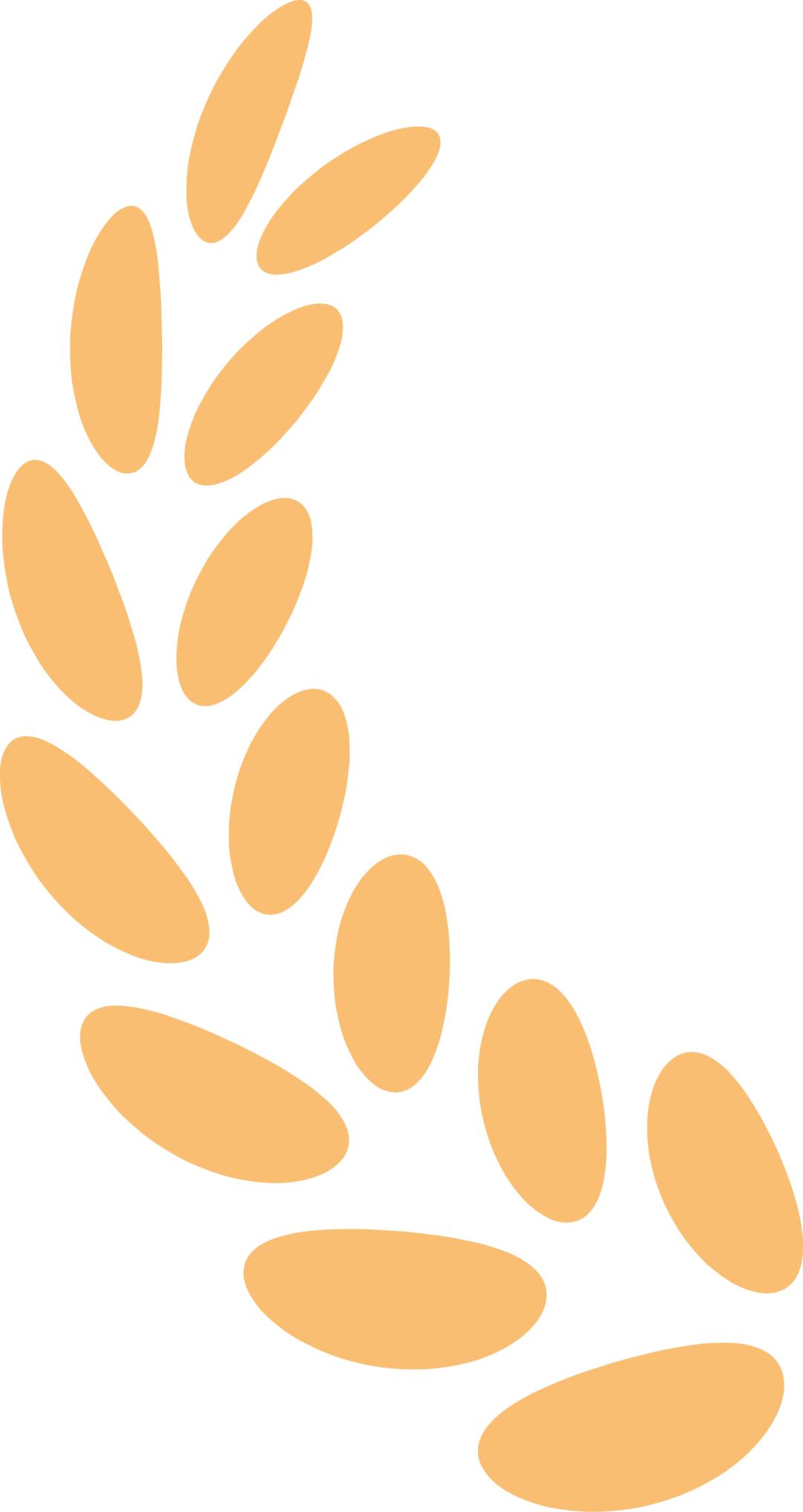 职高中专技校该怎么选,如何选普高职高技校