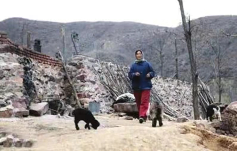 北大学霸王青松携妻隐居山林,隐居深山11年的北大生王青松