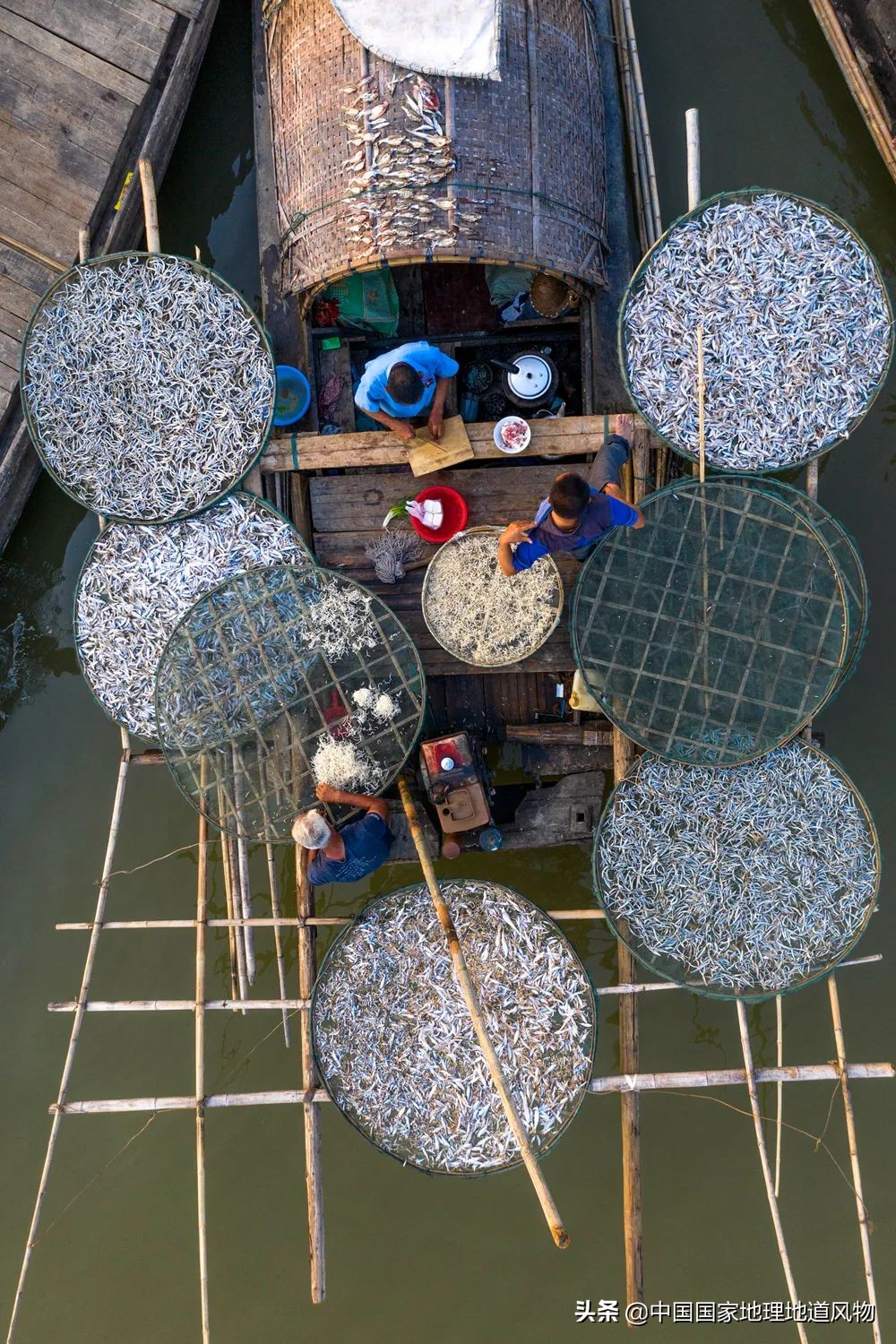 咸鱼最火地图,闲鱼攻略图