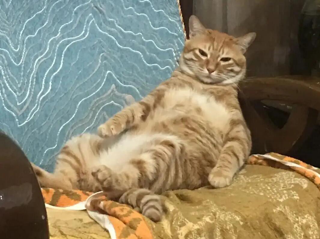 躺平追剧有啥必备神器？给大家推荐一套“黄金CP”