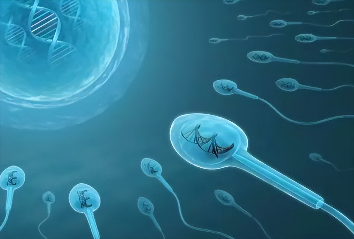 精子进入女生体内的全过程曝光！不要再傻傻不清楚