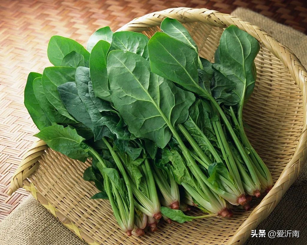 眼睛干涩视力模糊吃什么食物最好,儿童眼睛近视了要多吃哪些食物好