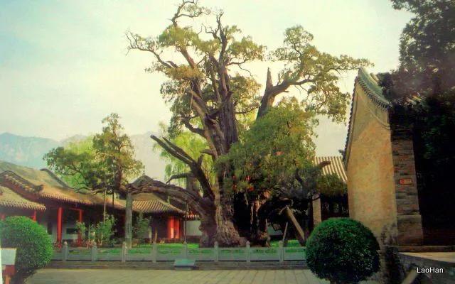 跟着走遍中国去旅游,跟着老唐环游中国