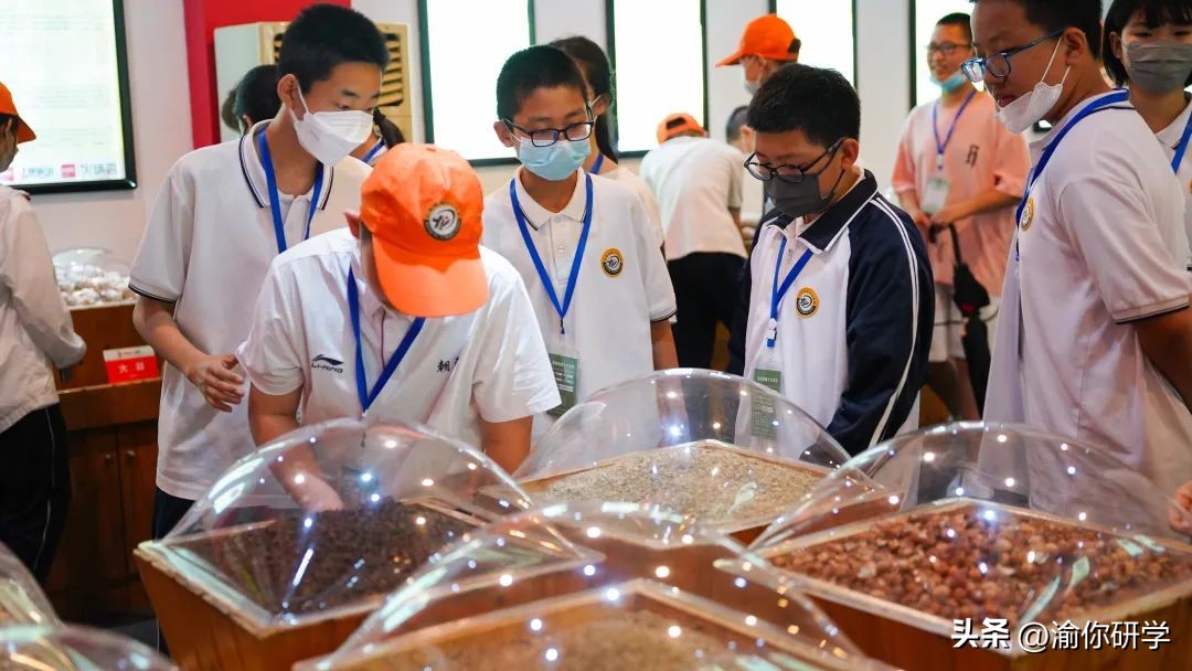 重庆渝你研学培训,市十七中开展研学实践活动