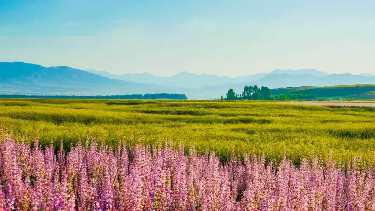 这条惊艳奇绝的公路,行走在天山脊梁上的最美景观公路