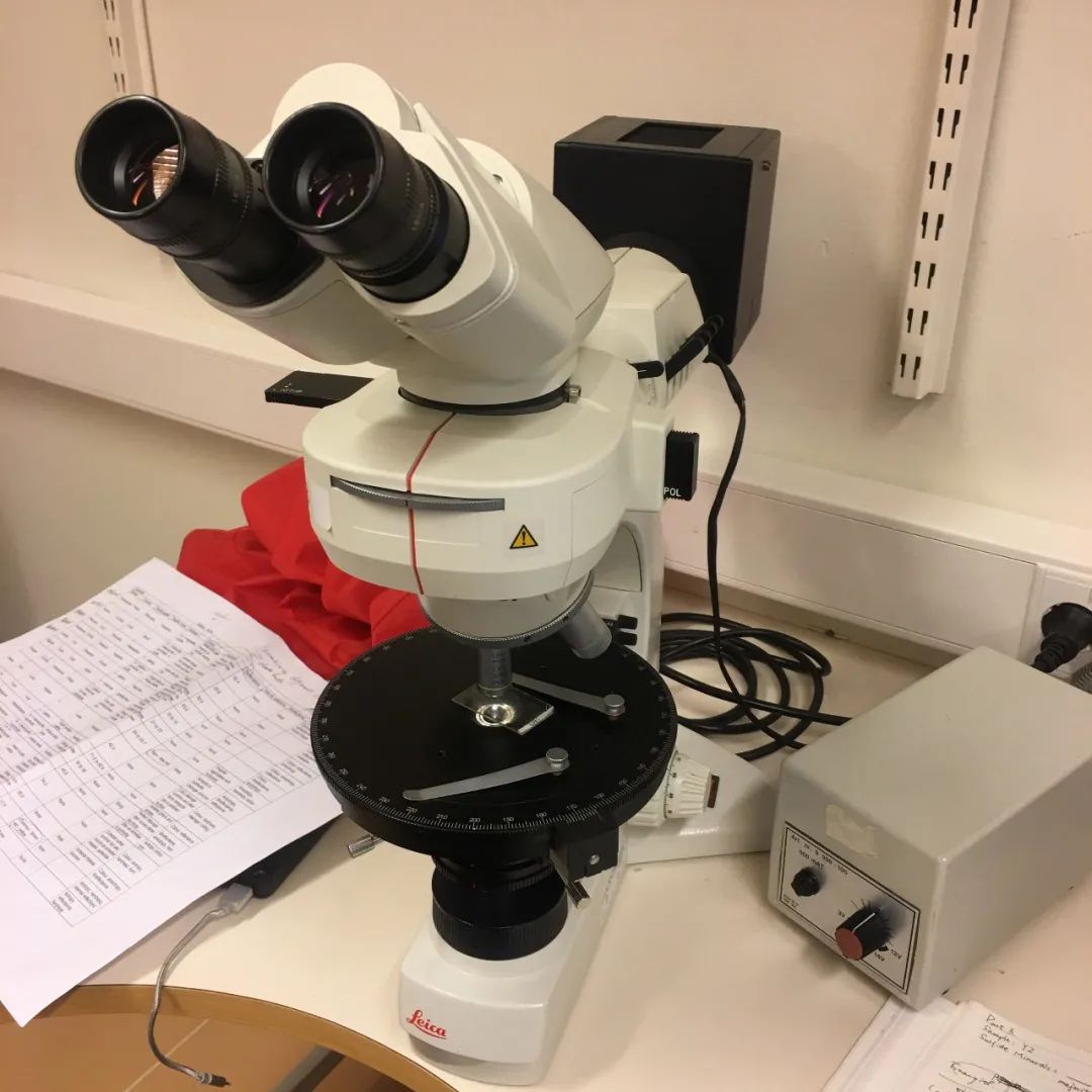 生活在瑞典的真实感受,在瑞典生活的日常