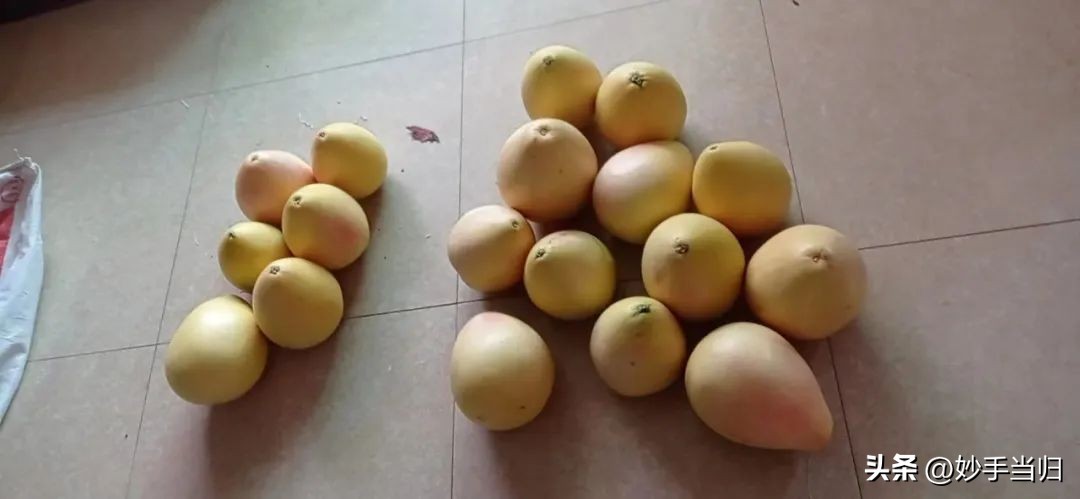 二十四节气白露为什么叫白露,白露节气与中医