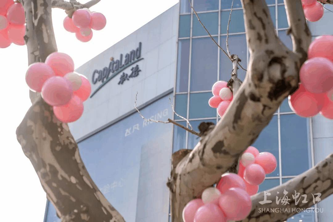 虹口又上热搜啦！这次是因为它→